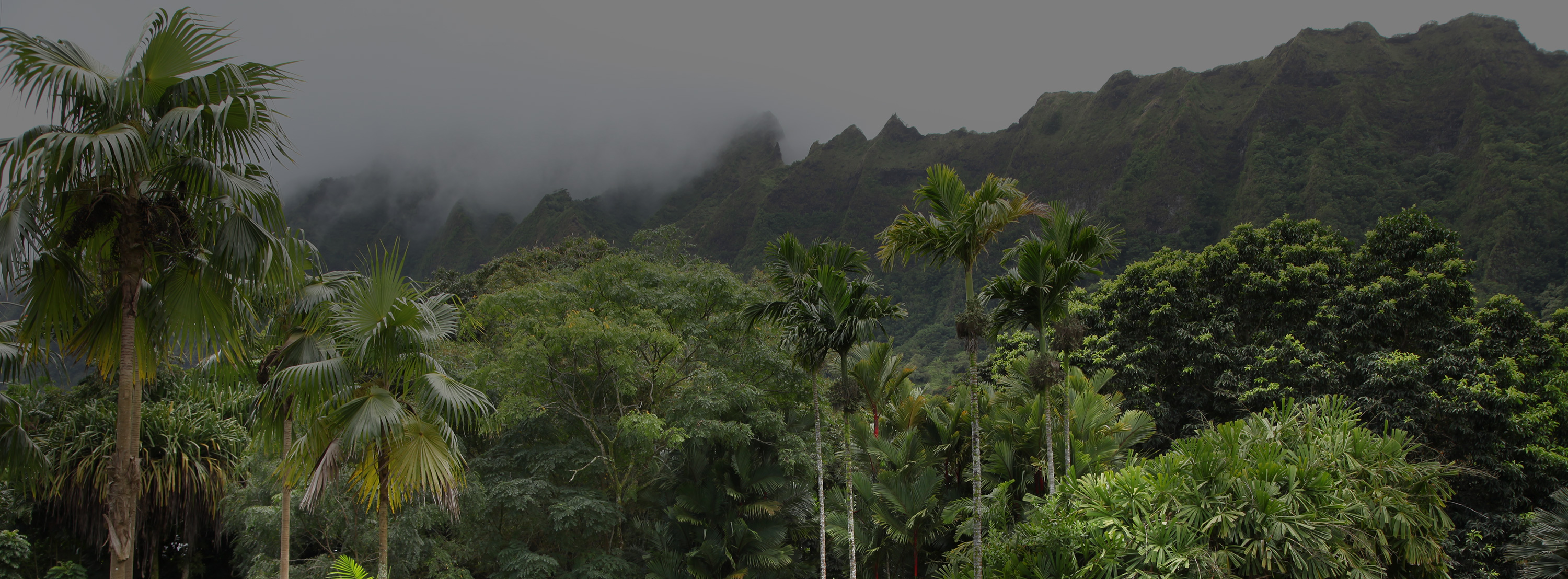 Aloha Hoʻomaluhia Landscape Photos